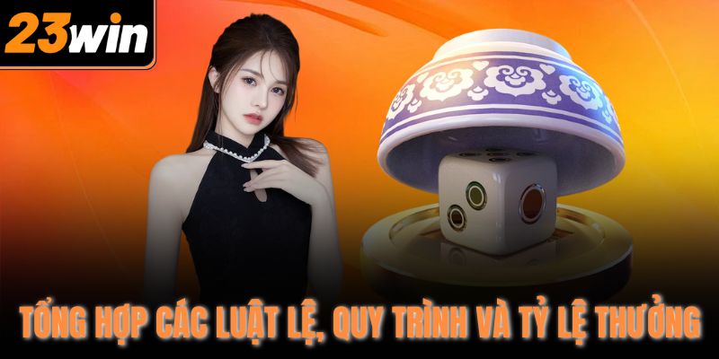Tổng hợp các luật lệ, quy trình và tỷ lệ thưởng