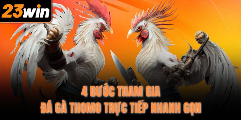 4 bước tham gia đá gà Thomo trực tiếp nhanh gọn