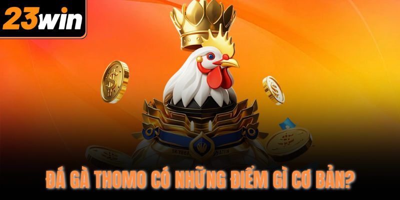 Đá gà Thomo có những điểm gì cơ bản?