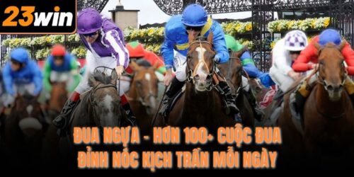 Đua Ngựa - Hơn 100+ Cuộc Đua Đỉnh Nóc Kịch Trần Mỗi Ngày