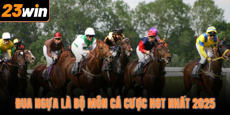 Đua ngựa là bộ môn cá cược hot nhất 2025