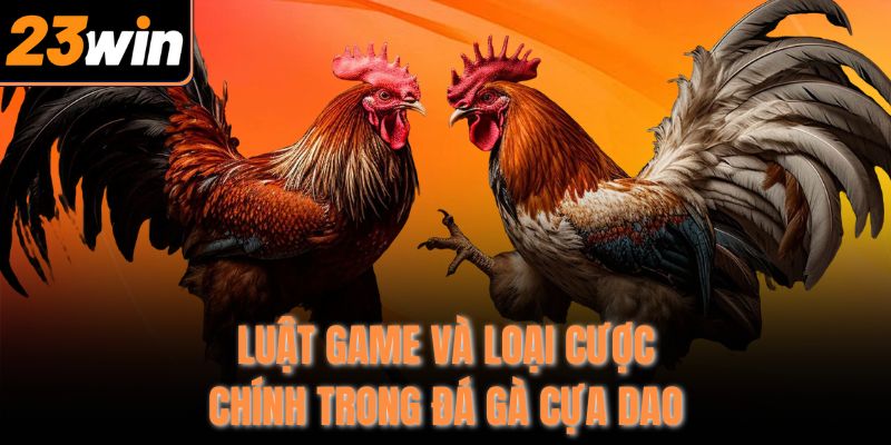 Luật game và loại cược chính trong đá gà cựa dao