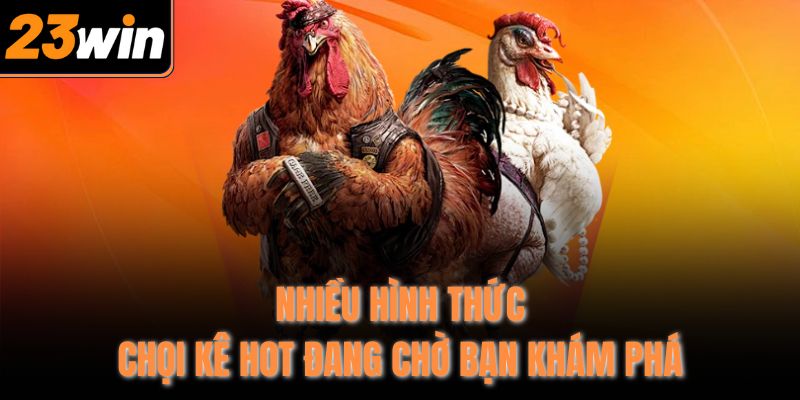 Nhiều hình thức chọi kê hot đang chờ bạn khám phá