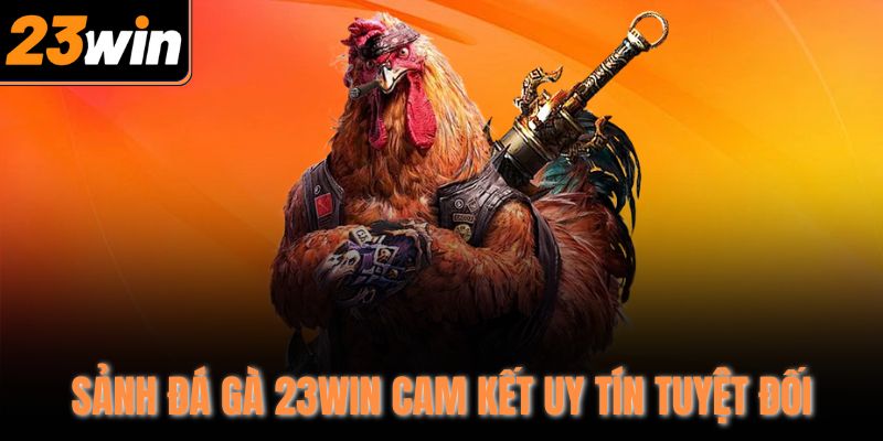 Sảnh đá gà 23Win cam kết uy tín tuyệt đối