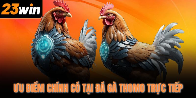 Ưu điểm chính có tại đá gà Thomo trực tiếp